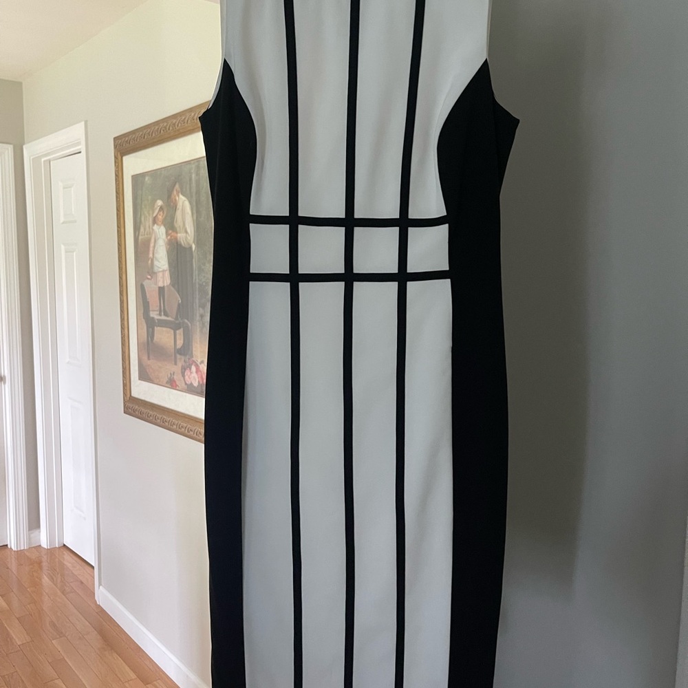 Elegant Black and White Dress